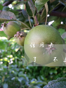 信用卡還不上有什么好辦法解決(信用卡用完了還不上怎么辦)