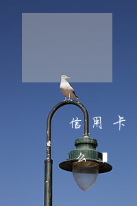 信用卡還不上未逾期怎么(信用卡逾期沒還怎么辦)