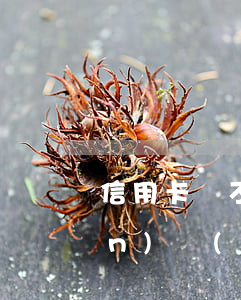 信用卡還不上經(jīng)偵部門(mén)會(huì)怎么樣-信用卡還不上經(jīng)偵部門(mén)會(huì)怎么樣嗎