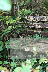 信用卡還不上經(jīng)偵部門怎么處理-欠信用卡報案經(jīng)偵會找上門嗎