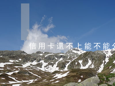 信用卡還不上能不能分10年還-