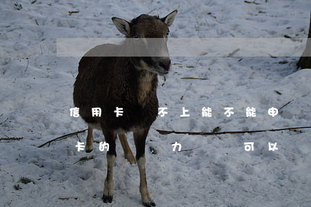 信用卡還不上能不能申請停息掛賬-欠信用卡的錢無力償還可以辦理停息掛賬嗎