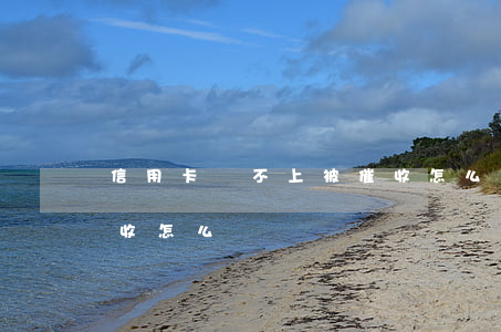 信用卡還不上被催收怎么辦(信用卡逾期被催收怎么辦)
