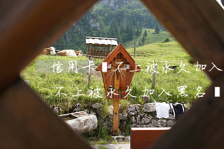 信用卡還不上被永久加入黑名單-信用卡還不上被永久加入黑名單怎么辦