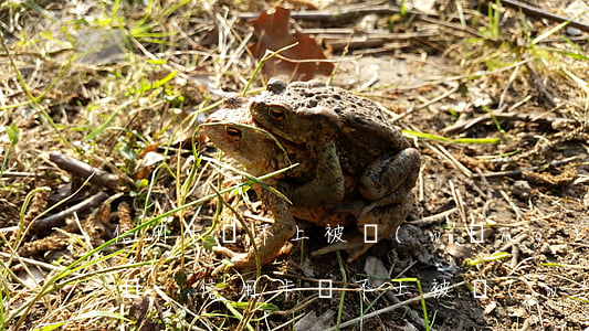 信用卡還不上被網(wǎng)上通緝怎么辦-信用卡還不上被網(wǎng)上通緝怎么辦呢