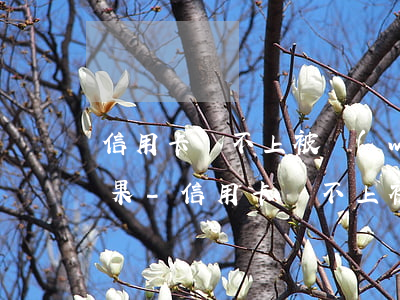 信用卡還不上被網(wǎng)上通緝的后果-信用卡還不上被網(wǎng)上通緝的后果嚴(yán)重嗎
