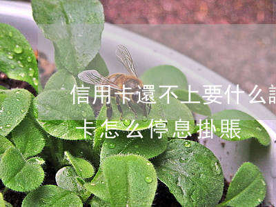 信用卡還不上要什么證明停息掛帳-欠信用卡怎么停息掛賬