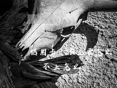 信用卡還不上要怎么辦理信用卡-如信用卡還不上怎么辦