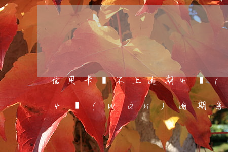 信用卡還不上逾期4個(gè)月-信用卡4萬(wàn)逾期每個(gè)月還一點(diǎn)