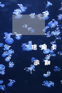 信用卡還不上還沒(méi)逾期(欠信用卡逾期還不上怎么辦)