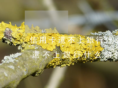 信用卡還不上銀行什么時候會起訴-信用卡還不上銀行什么時候會起訴呢