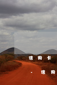 信用卡還不上開庭不去什么結(jié)果-信用卡還不上開庭不去什么結(jié)果會(huì)被起訴