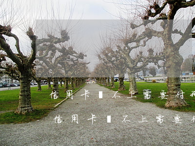 信用卡還不上需要付刑事責(zé)任嗎-信用卡還不上需要付刑事責(zé)任嗎判幾年