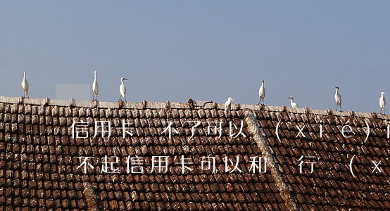 信用卡還不了可以協(xié)商還款嗎(還不起信用卡可以和銀行協(xié)商嗎)
