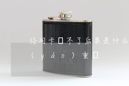 信用卡還不了后果是什么(信用卡不還后果嚴(yán)重嗎)