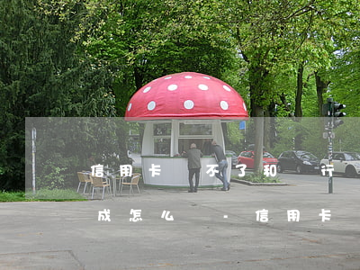 信用卡還不了和銀行協(xié)商還款不成怎么辦?-信用卡還不了和銀行協(xié)商還款不成怎么辦呢