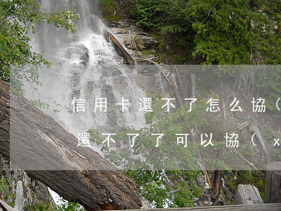 信用卡還不了怎么協(xié)商-信用卡還不了了可以協(xié)商還款嗎