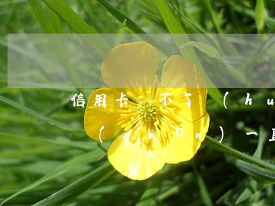 信用卡還不了會(huì)怎么樣(信用卡的錢(qián)一直還不了銀行會(huì)怎么樣)