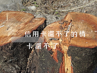 信用卡還不了的情況下怎么處理好-欠信用卡還不了