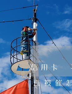 信用卡還不了被催款怎么辦(信用卡逾期了一直被催怎么辦)