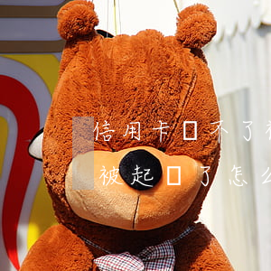 信用卡還不了被起訴了怎么辦(信用卡還不了被起訴了怎么辦)