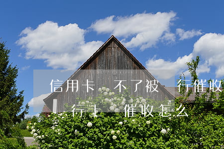 信用卡還不了被銀行催收怎么辦(信用卡欠款銀行上門催收怎么辦)