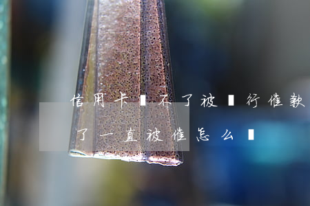 信用卡還不了被銀行催款怎么辦(信用卡逾期了一直被催怎么辦)