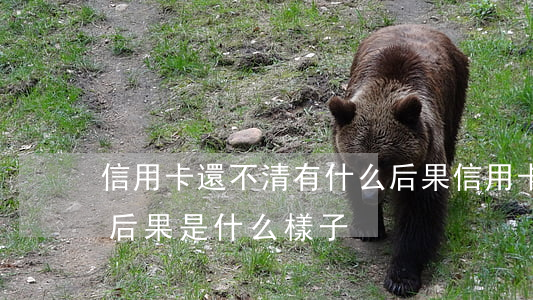 信用卡還不清有什么后果(信用卡一直還不上后果是什么樣子)