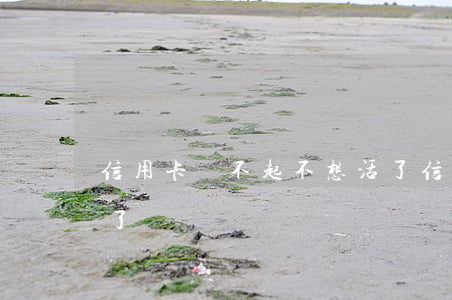 信用卡還不起不想活了(信用卡還不起不想活了)