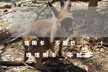 信用卡還不起也沒財產(chǎn)怎么處理（信用卡還不起也沒財產(chǎn)）