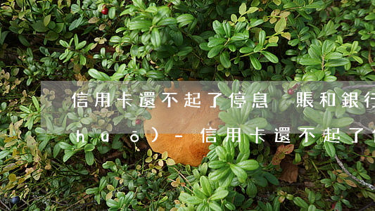 信用卡還不起了停息掛賬和銀行客服說(shuō)-信用卡還不起了停息掛賬和銀行客服說(shuō)有關(guān)系嗎
