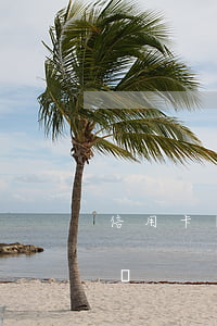 信用卡還不起了咋辦(信用卡實在還不起怎么辦)