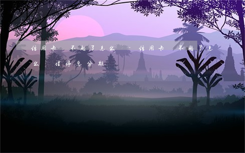 信用卡還不起了 怎么辦-信用卡還不起了怎么辦理停息分期