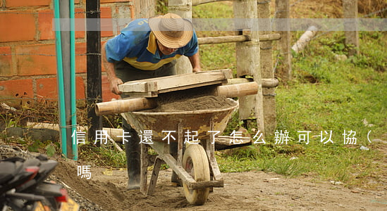 信用卡還不起了怎么辦可以協(xié)商嗎