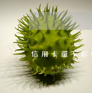 信用卡還不起個(gè)性分期