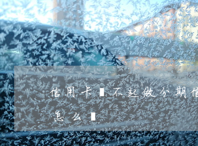 信用卡還不起做分期(信用卡還不起做分期會怎么樣)
