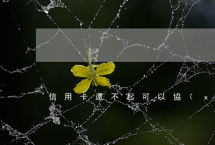 信用卡還不起可以協(xié)商分期五年嗎