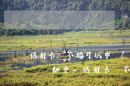 信用卡還不起可以申請(qǐng)停息掛賬嗎知乎-信用卡還不起可以申請(qǐng)停息掛賬嗎知乎