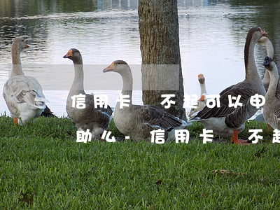信用卡還不起可以申請(qǐng)法律援助么-信用卡還不起可以申請(qǐng)法律援助么嗎