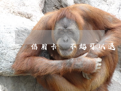 信用卡還不起可以退嗎(欠信用卡錢還不起)