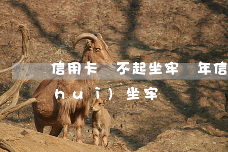 信用卡還不起坐牢幾年(信用卡還不起了會(huì)坐牢嗎)