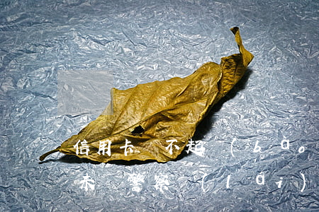 信用卡 還不起 報(bào)案(如果欠信用卡未還,警察來(lái)找如何處理)