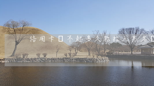 信用卡還不起多久能拉入黑名單