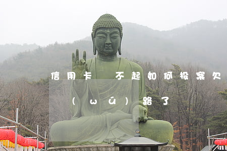 信用卡還不起如何投案(欠信用卡還不上走投無(wú)路了)