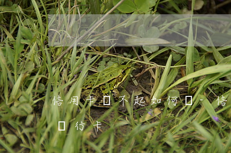 信用卡還不起如何辦-信用卡還不起如何辦銀行卡