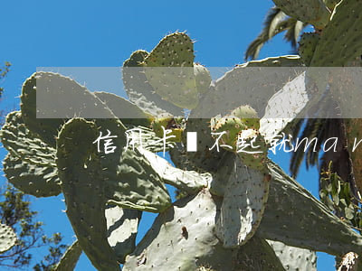 信用卡還不起就man(我信用卡還不上)