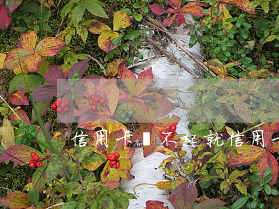 信用卡還不起就(信用卡還不起就是詐騙嗎)
