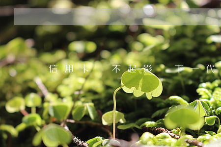信用卡還不起影響下一代嗎
