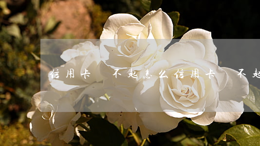 信用卡還不起怎么(信用卡還不起怎么辦)