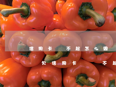 信用卡還不起怎么周轉(zhuǎn)-請問欠信用卡錢還不起怎么辦